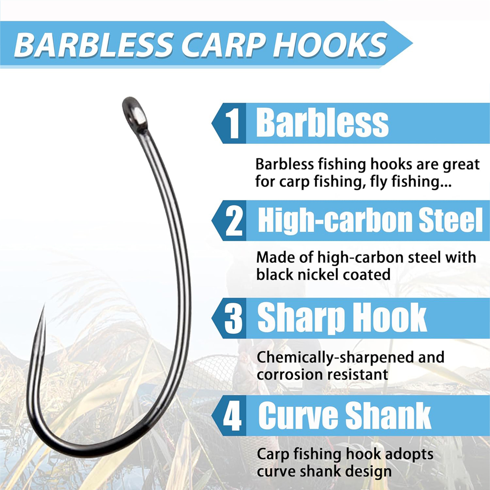Kit d'hameçons circulaires san - Fishing Hook Assortment avis et prix